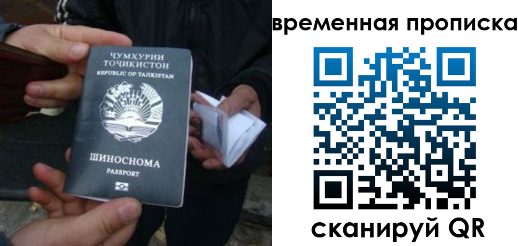 прописка законно в Тырныаузе